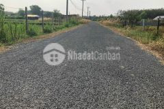 Cần bán nhanh miếng đất thổ cư 248m2 ở gò dầu giá 460 triệu.