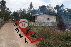 Giá hấp hối eadrong cưgma 2 lô sau ủy ban đường bê tông dt 5 x 52 tc 60 giá chỉ 240 triệu