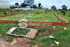 Ban đât nghi dương măng lin gia tôt p7 đa lat