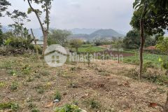 Đất nền mộc châu khu vực mường sang 1200m2 phun sổ 200m thổ cư