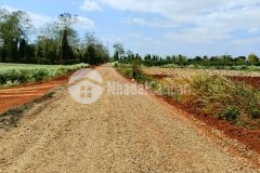 Đất krong năng,quy hoạch đất ở, 10x55, gần ql29, tiện ích xung quanh, chỉ 139tr