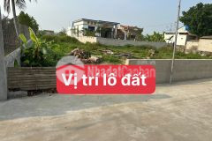 Bán đất xã đồng lợi lô duy nhất rẻ và đẹp