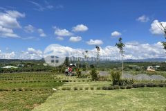 Tiềm năng lời 2 3 lần với dự án lộc tan garden, đất nền bảo lộc