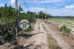 Bán gấp 8780m, mặt đường đt788, ấp sa nghe, an cơ, châu thành, tây ninh, chỉ 2,9 tỷ.