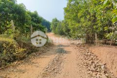 Đất diên lâm giá rẻ làm vườn gần pháp viện thánh sơn