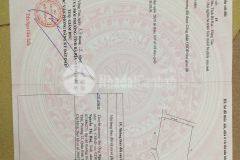 Bán vườn trái cây tại xã châu đức, bà rịa vũng tàu 2400m giá chỉ nhỉnh 5 tỷ