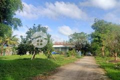 Bán nhà mặt đường trần hưng đạo kéo dài chỉ 61 tỷ, 9 công, ngang 69m, tân thành, cà mau.