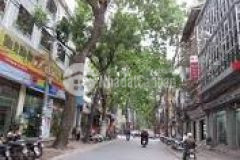 Bán nhà lý nam đế quán thánh hoàn kiếm hà nội dt 230m2 giá 115 tỷ lô góc