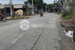 Hàng thơm đất đặng thúc vịnh, đông thạnh hóc môn 1000m2 chỉ 23 tỷ