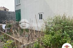 Bán đất 50m2 tại xóm vang cổ loa đông anh, ô tô tiện ích đầy đủ nhỉnh 1 tỷ lh 0886736116.