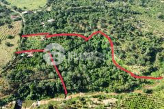 Đất cư mgar,1,6 ha, mt dài 48m. sẵn nhà,vườn cây cho thu, giá chỉ 590 tr