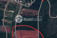 Đất sào ngộp bank cần ra nhanh