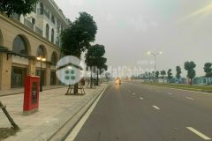 Biệt thự lk 5 tầng 138m2 vinhome ocanpark. hoàn thiện mặt đường 2 làn.