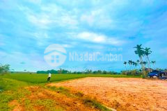 Cần bán đất đường quốc lộ 1a, thị trấn hà lam, diện tích 190m², giá 480 triệu