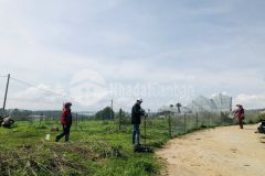 Ket tiên cân ban đât xây dưng măng lin p7 đa lat