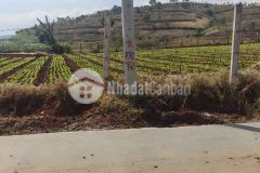 Đất đầu tư giá tốt tại đạ ròn, đơn dương, lâm đồng, ven đà lạt giá rẻ hơn thị trường