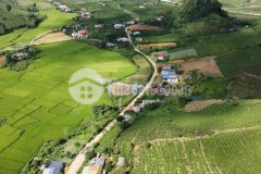 Cắt lõ đất mộc châu vị trí vip, đón sóng cao tốc hòa bình hà nội