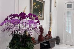 Bán nhà trung kính cầu giấy dt 249280 m2 gía 110 tỷ hà nội lô góc 3 mặt