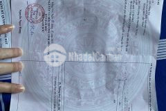 View đẹp, đường rộng khu vực gần phà cái lái xã phú hữu, huyện nhơn trạch, tỉnh đồng nai