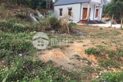 Cắt lỗ mảnh đất mộc châu diện tích 150m2 nằm tại trục đường chính đi cầu kính bạch long