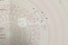 Bán nhà c4 ô tô đỗ cửa tt viện nông nghiệp 38m2 2 tỷ tám 4