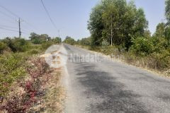 Bán 2,8hecta mặt tiền huyện lộ 40,tân hoà đông,tân phước,tiền giang