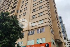 Cần bán 02 bt trung văn intracom, tố hữu, dt144m x 4t,mt 6,2m. giá 24,5 tỷ. lh 0964769634