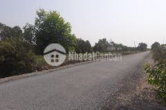 6.000m2 đất đường nam kênh 500,tân hoà đông,tân phước,tiền giang