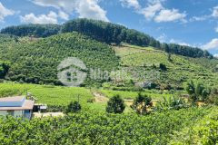 Bán đất đẹp xuân thọ, view đẹp, giá chỉ 2.2 tỷ