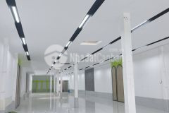 Cho thuê nhà nguyên căn mặt tiền ngang 8m đường lý tự trọng, an phú, ninh kiều, cần thơ, dtsd 500m2