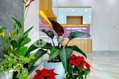 Chủ gửi nhà mới 1 trệt 2 lầu số 68, đường d7 kdc hồng loan 6a, cái răng, cần thơ