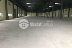 Cho thuê nhà máy tại ql37 đồng lạc nam sách hải dương