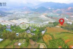 Đất nền vùng ven sapa phù hợp làm homestay biên độ lợi nhuận tăng giá cao