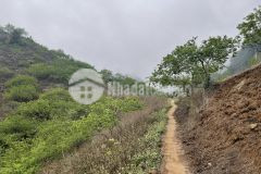 Bán đất rẻ như cho tại mộc châu. lh em thương 0973701147.