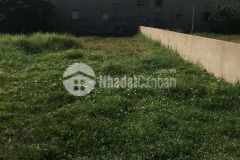 Đất sư đoàn 9 bình chánh sổ hồng riêng full thổ 20x35m giá 14 tỷ