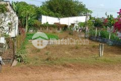 Kẹt tiền bán gấp lô đất thổ cư 393m2,xã bàu đồn gò dầu,giá 410 triệu.