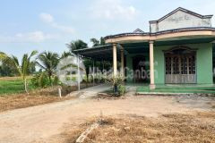 Chủ bán căn nhà vườn 380m2,xã phước đông,gò dầu,giá 450 triệu.