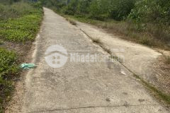 Cơ hội đầu tư vị trí đắc địa xã tân bình tân thạnh