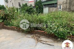 Bán 50m2 thôn đầm vân nội đông anh phân lô tiện ích đầy đủ nhỉnh 1 tỷ lh 0886119248.