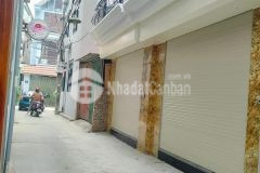 Hơn 3 tỷ ô tô vào nhà thông tin chuẩn, hình ảnh thật