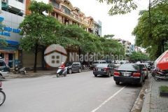 Chính chủ cần bán nhà tại phố bà triệu, hà đông, hà nội. dt 35m. giá 2 tỷ lh 0588168888