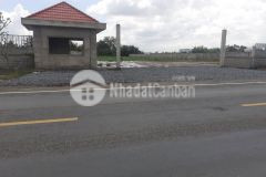 Cho thuê 1,4hecta mặt tiền tỉnh lộ 878,tam hiệp,châu thành,tiền giang.