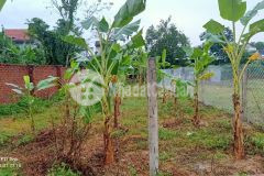 Bán đất điện tiến không cấn mồ mã dưới dốc bồ bồ chỉ 6xxtr