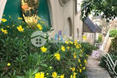 Bán biệt thự mặt tiền đống đa phường 3 đà lạt