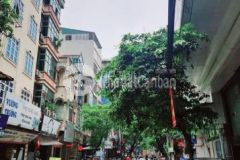 Bán tòa nhà mặt phố vương thừa vũ 182m2 xây 8 tầng kinh doanh văn phòng công ty