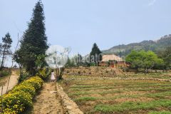 Chuyển nhượng lô đất trung tâm y tý, sapa giá siêu đẹp