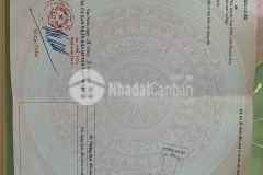 Chủ đá gà thua lỗ cần tiền nên bán gấp lô đất cực đẹp tại bắc vân phong