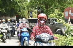 Bán đất quỳnh mỹ, quỳnh phụ, thái bình.