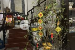 Cần bán nhà chính chủ 4 tấm, 4x13, hẻm xe hơi, p8, gò vấp