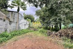 Đất mặt tiền dã tượng gần nhà máy bia sài gòn 10.5 x 39m 4.350 tỷ